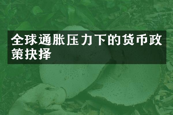 全球通胀压力下的货币政策抉择