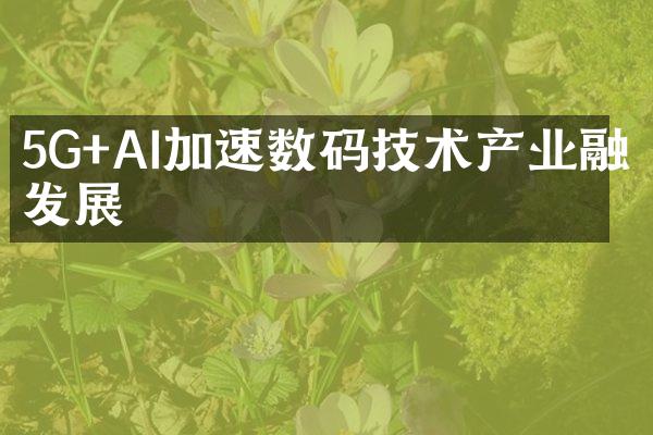 5G+AI加速数码技术产业融合发展