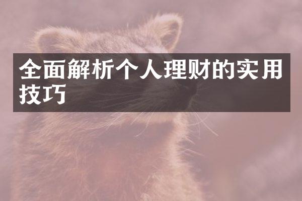 全面解析个人理财的实用技巧