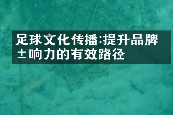 足球文化传播:提升品牌影响力的有效路径