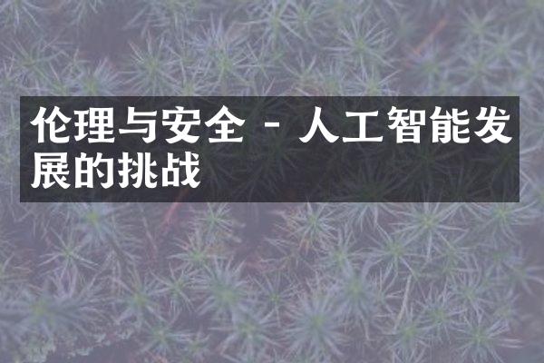 伦理与安全 - 人工智能发展的挑战