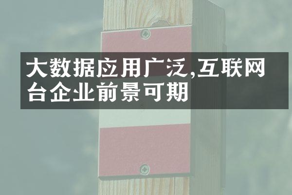 大数据应用广泛,互联网平台企业前景可期