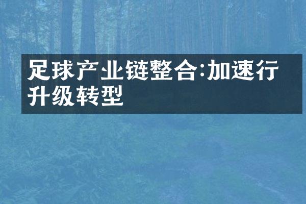 足球产业链整合:加速行业升级转型