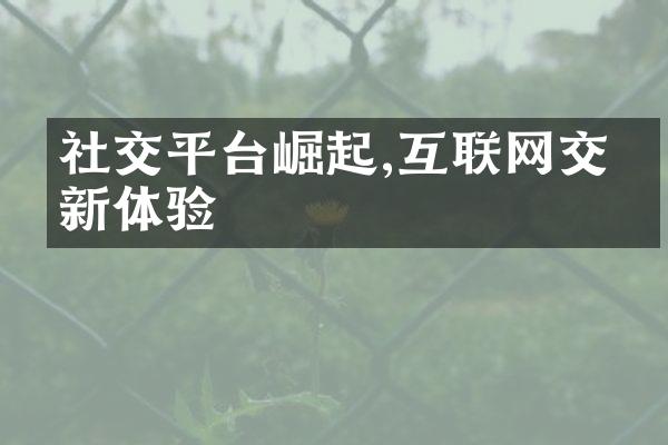 社交平台崛起,互联网交互新体验