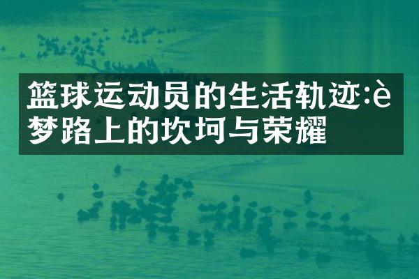 篮球运动员的生活轨迹:追梦路上的坎坷与荣耀