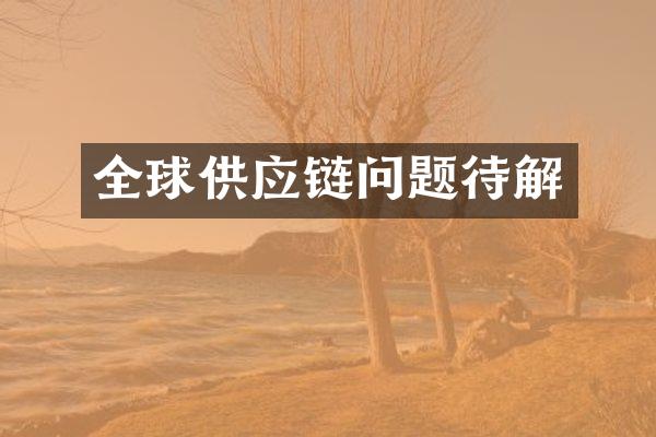 全球供应链问题待解