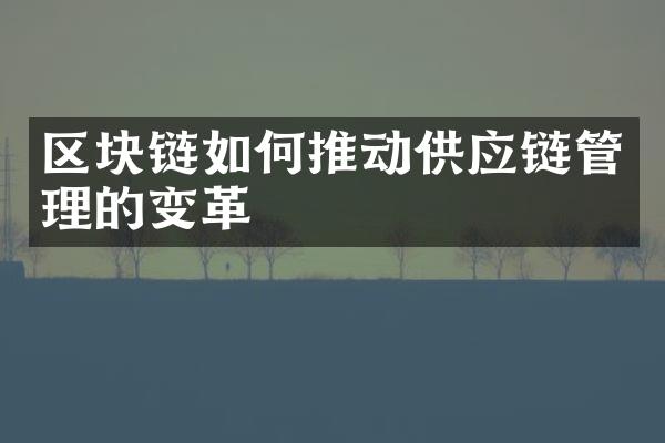 区块链如何推动供应链管理的变革