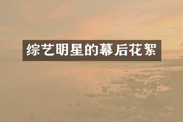 综艺明星的幕后花絮