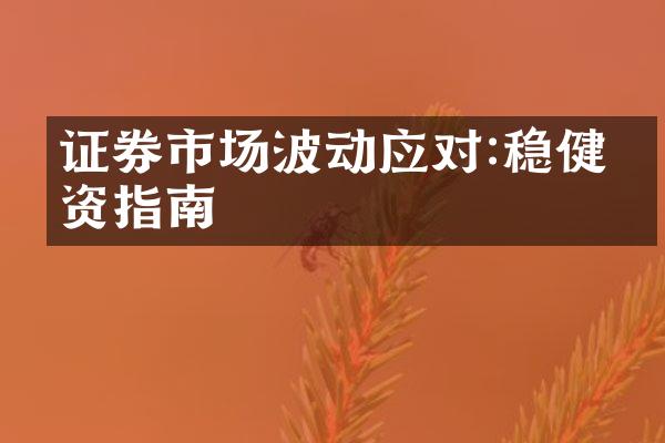 证券市场波动应对:稳健投资指南