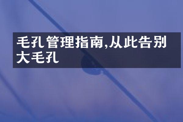 毛孔管理指南,从此告别粗大毛孔