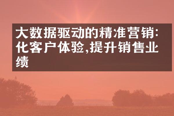 大数据驱动的精准营销:优化客户体验,提升销售业绩