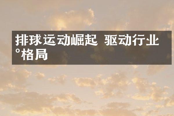 排球运动崛起 驱动行业新格