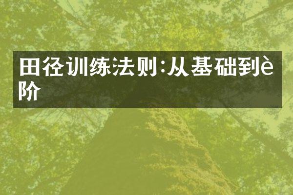 田径训练法则:从基础到进阶