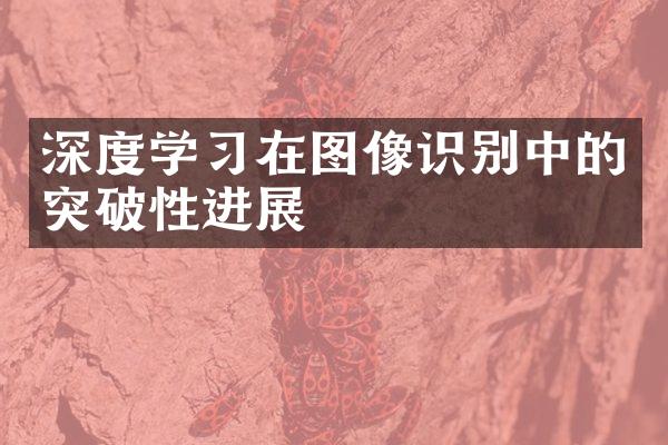 深度学习在图像识别中的突破性进展