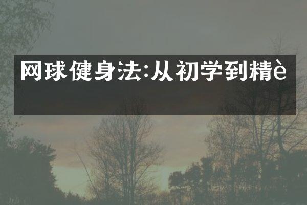 网球健身法:从初学到精进