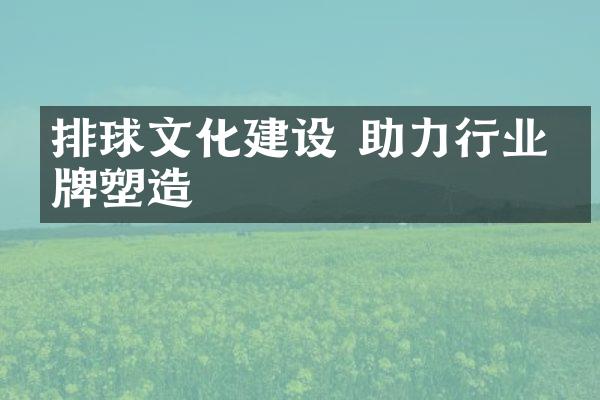 排球文化建设 助力行业品牌塑造