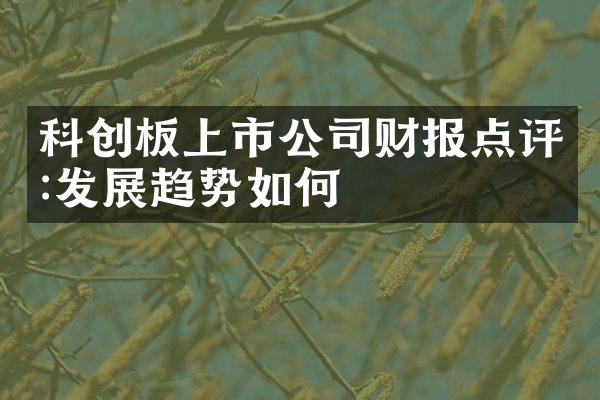 科创板上市公司财报点评:发展趋势如何