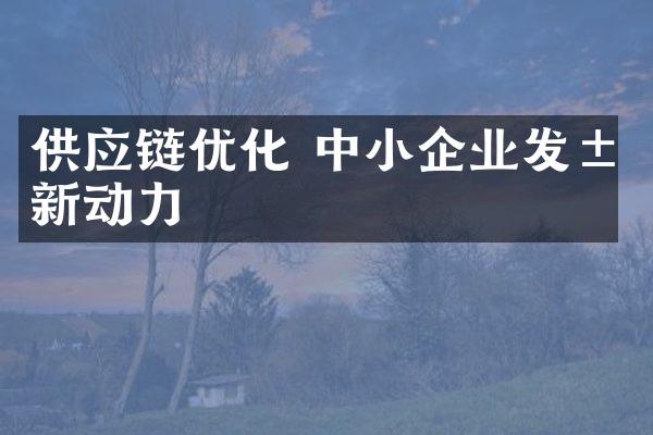 供应链优化 中小企业发展新动力