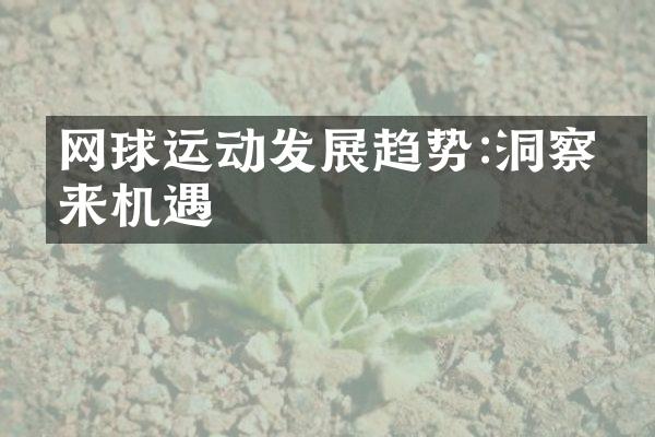 网球运动发展趋势:洞察未来机遇