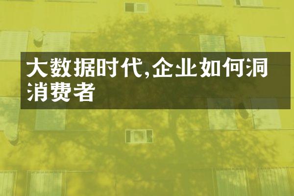 大数据时代,企业如何洞悉消费者