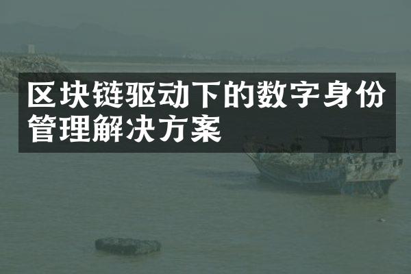 区块链驱动下的数字身份管理解决方案