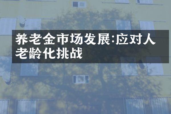 养老金市场发展:应对人口老龄化挑战