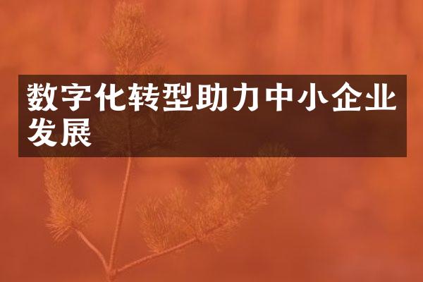 数字化转型助力中小企业发展