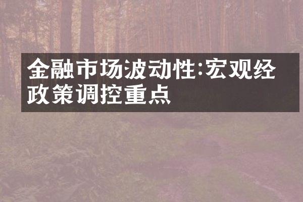 金融市场波动性:宏观经济政策调控重点