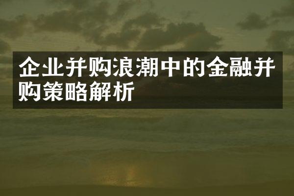 企业并购浪潮中的金融并购策略解析