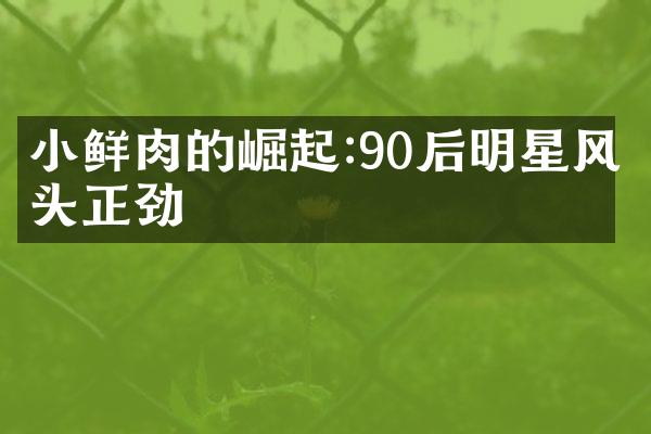 小鲜肉的崛起:90后明星风头正劲