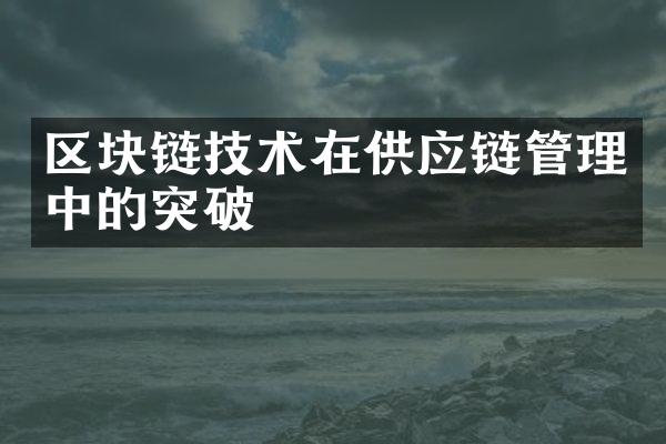 区块链技术在供应链管理中的突破