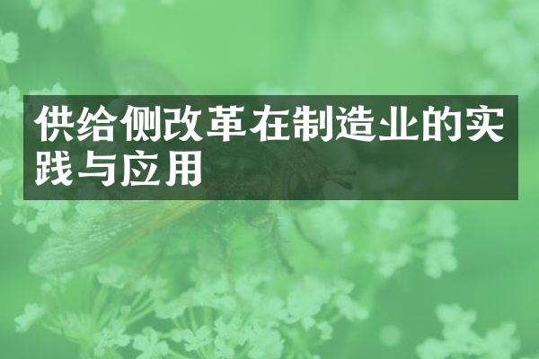 供给侧改革在制造业的实践与应用