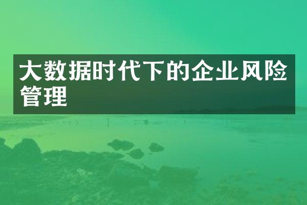 数据时代下的企业风险管理