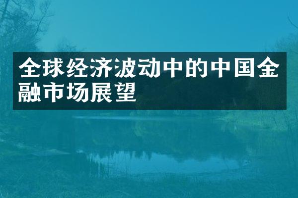 全球经济波动中的中国金融市场展望