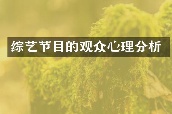 综艺节目的观众心理分析