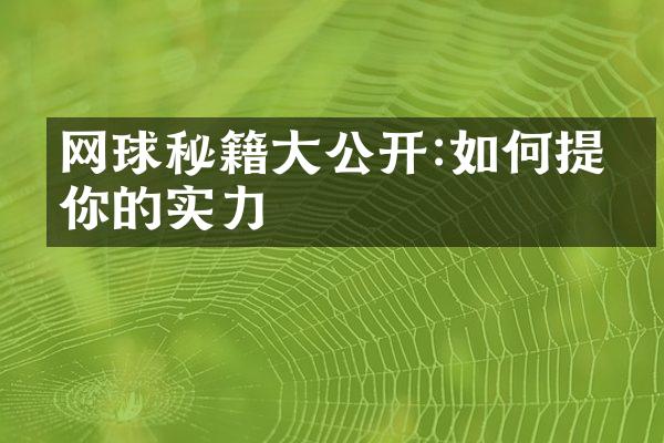 网球秘籍公开:如何提升你的实力