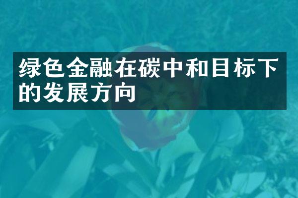 绿色金融在碳中和目标下的发展方向