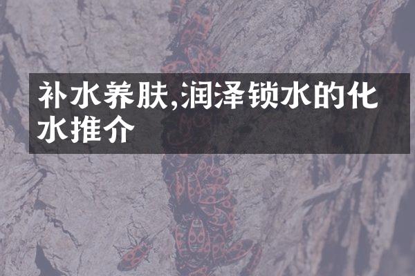 补水养肤,润泽锁水的化妆水推介