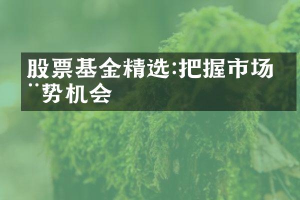 股票基金精选:把握市场涨势机会