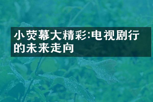 小荧幕大精彩:电视剧行业的未来走向