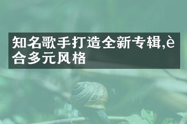 知名歌手打造全新专辑,融合多元风格