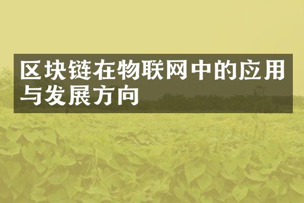 区块链在物联网中的应用与发展方向