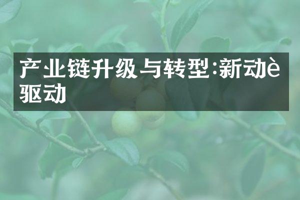 产业链升级与转型:新动能驱动