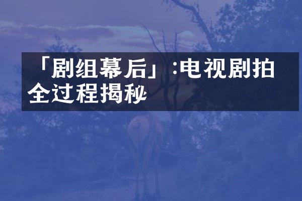 「剧组幕后」:电视剧拍摄全过程揭秘