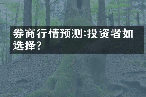 券商行情预测:投资者如何选择?