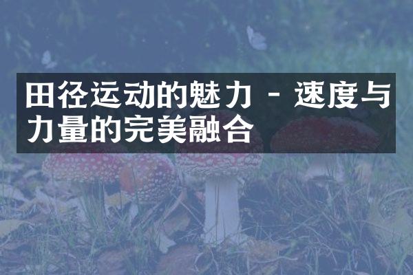 田径运动的魅力 - 速度与力量的完美融合