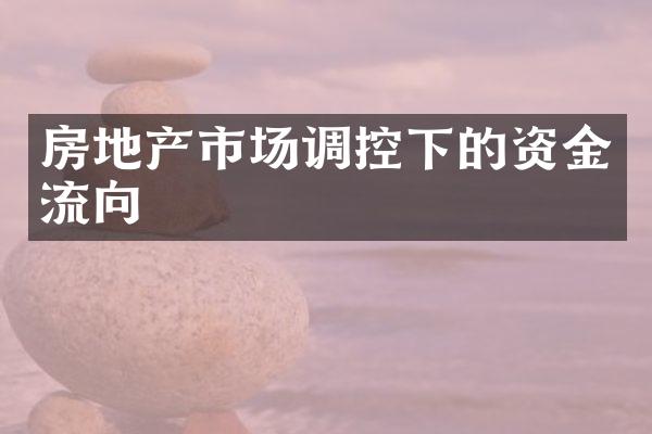 房地产市场调控下的资金流向