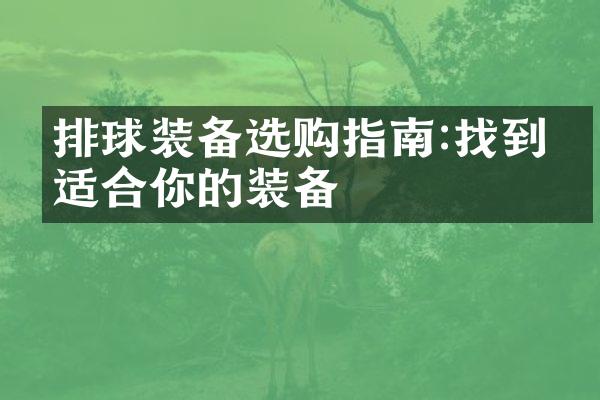 排球装备选购指南:找到最适合你的装备