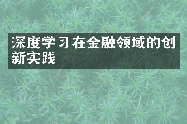 深度学习在金融领域的创新实践