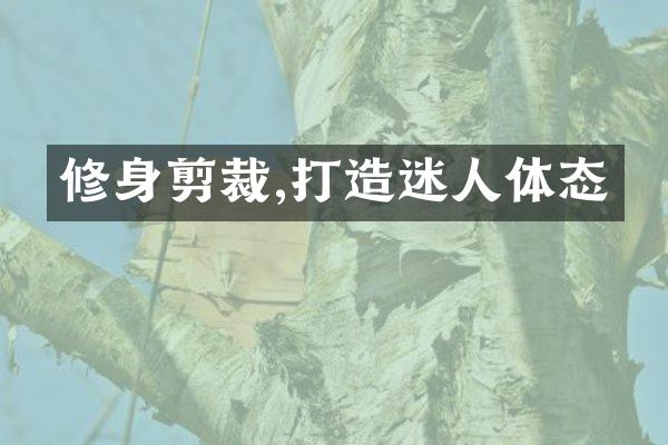 修身剪裁,打造迷人体态